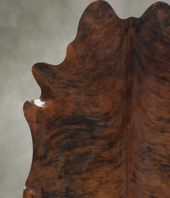 Medium Brindle X-Large Brazilian Cowhide Rug 6'10"H x 6'4"W #B17898 by Hudson Hides