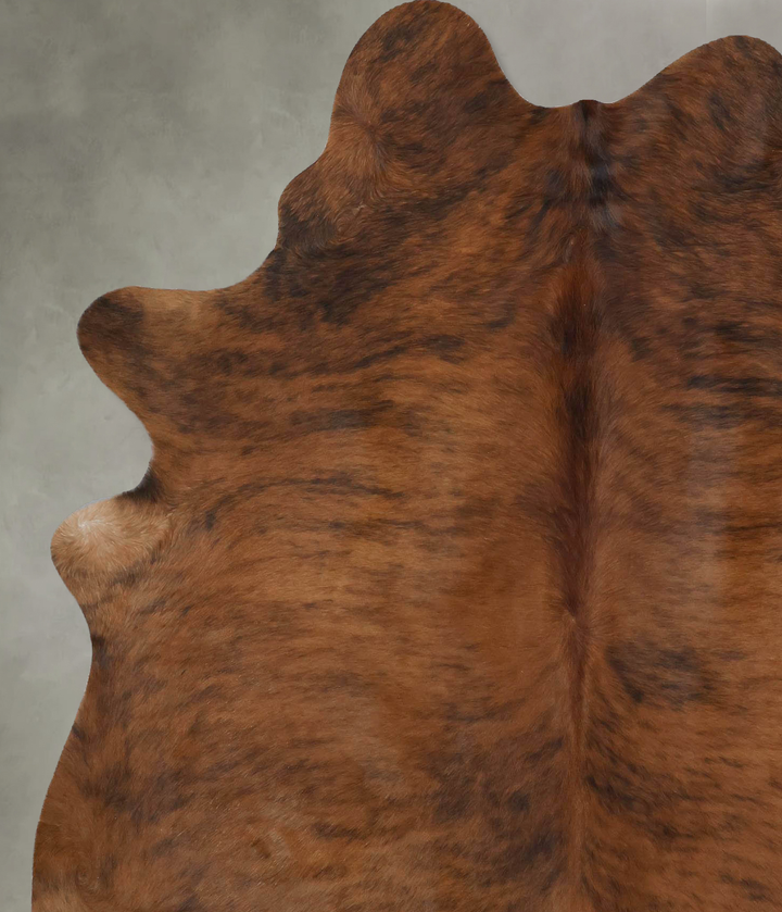 Medium Brindle X-Large Brazilian Cowhide Rug 7'2"H x 5'9"W #B17903 by Hudson Hides