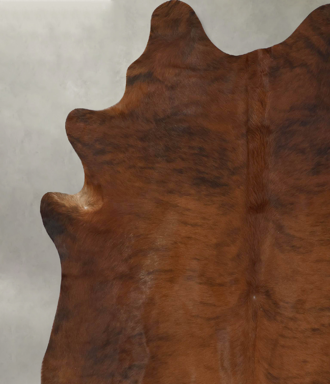 Medium Brindle X-Large Brazilian Cowhide Rug 7'2"H x 6'0"W #B17904 by 