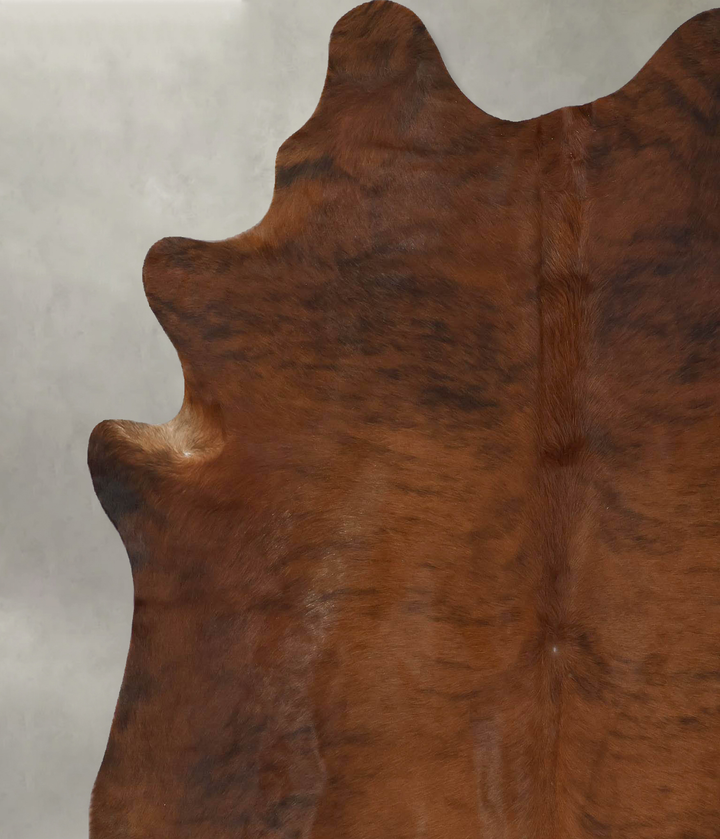 Medium Brindle X-Large Brazilian Cowhide Rug 7'2"H x 6'0"W #B17904 by Hudson Hides