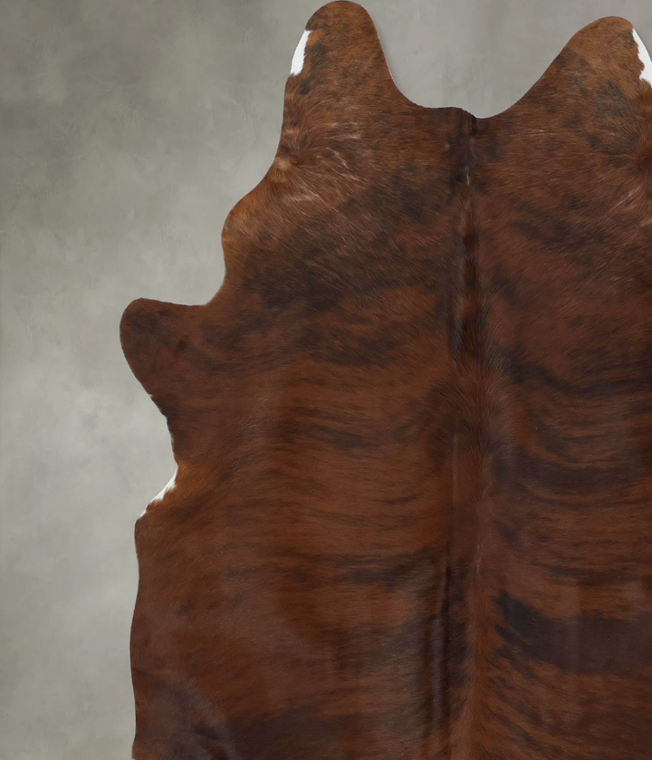 Medium Brindle X-Large Brazilian Cowhide Rug 7'6"H x 6'5"W #B17934 by Hudson Hides