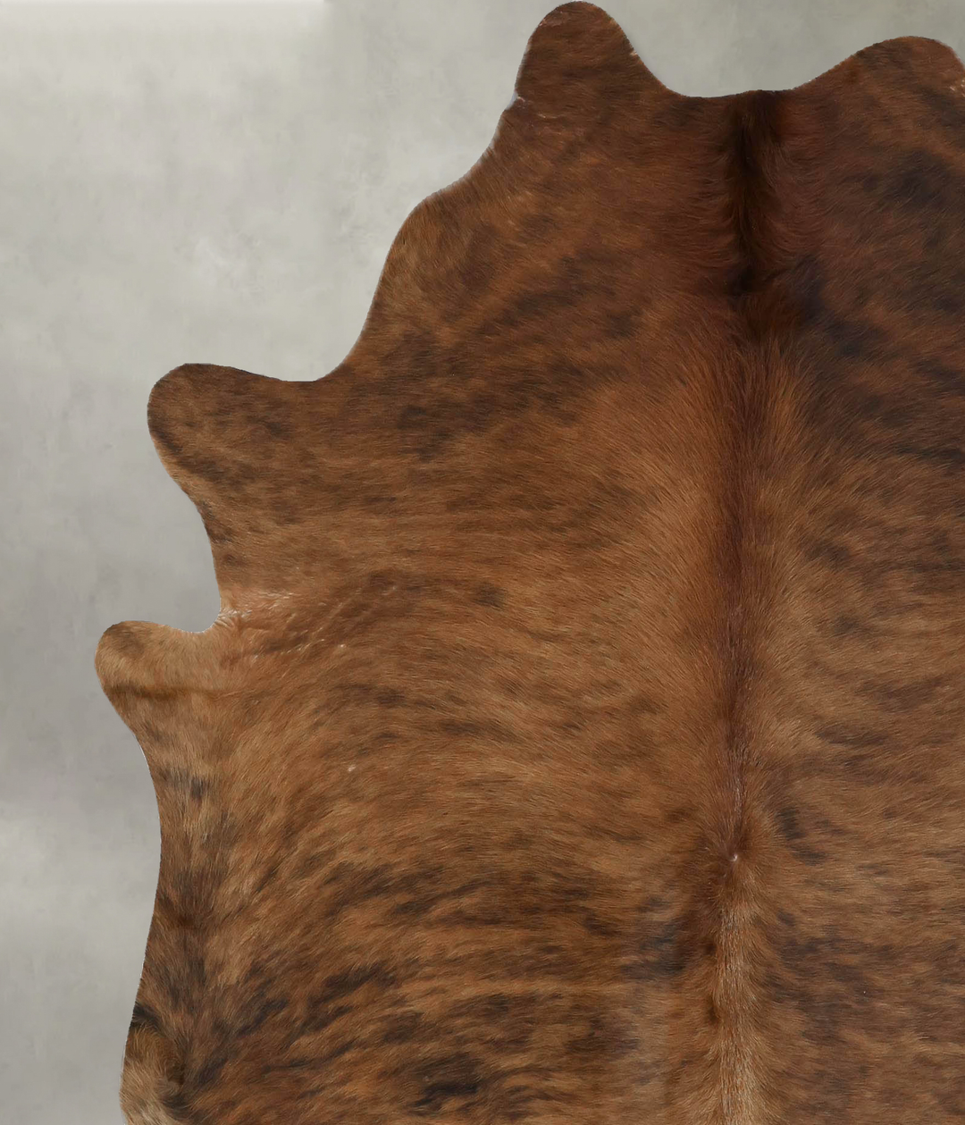 Medium Brindle X-Large Brazilian Cowhide Rug 7'2"H x 6'3"W #B17942 by 