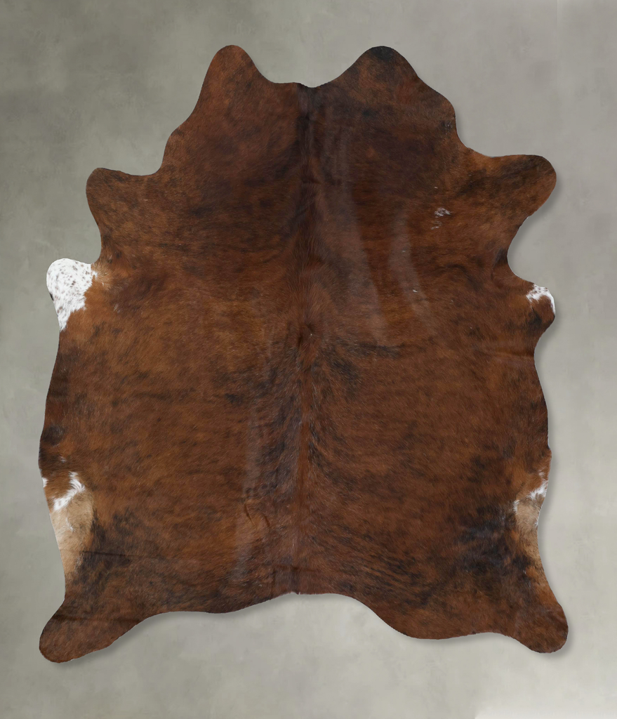 Medium Brindle X-Large Brazilian Cowhide Rug 6'8"H x 6'1"W #B17951 by Hudson Hides
