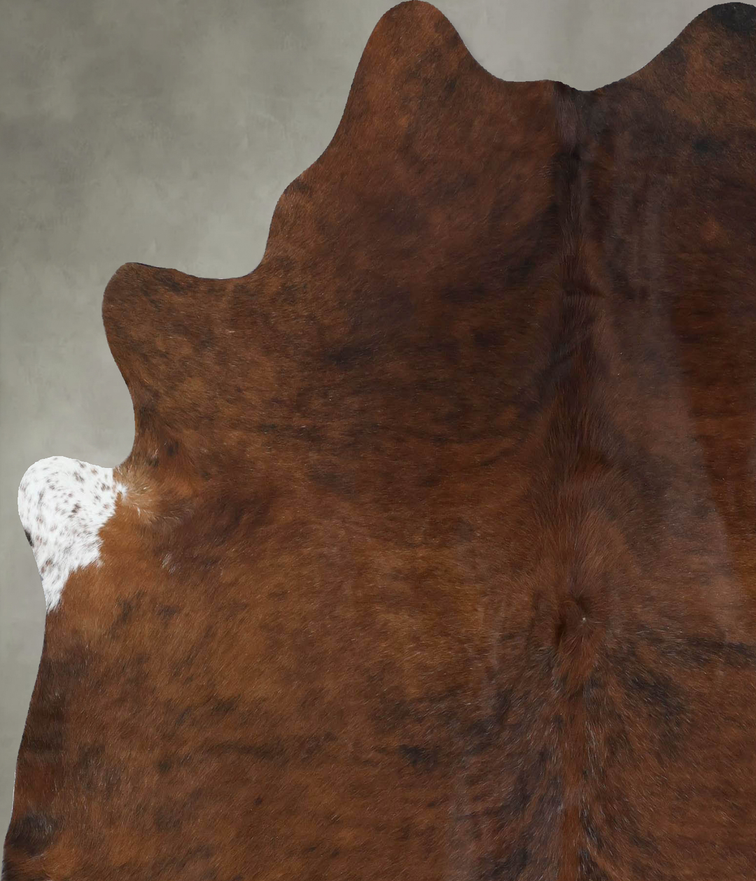 Medium Brindle X-Large Brazilian Cowhide Rug 6'8"H x 6'1"W #B17951 by 