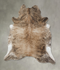 Light Brindle XX-Large Brazilian Cowhide Rug 8'7