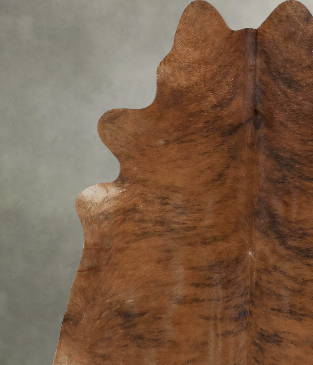 Medium Brindle X-Large Brazilian Cowhide Rug 7'0"H x 6'5"W #B17967 by 
