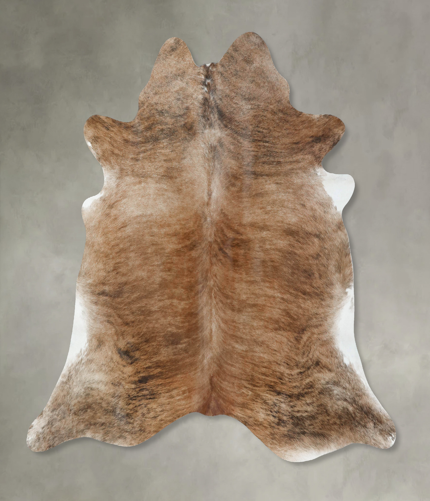 Medium Brindle X-Large Brazilian Cowhide Rug 7'1"H x 6'11"W #B17972 by Hudson Hides