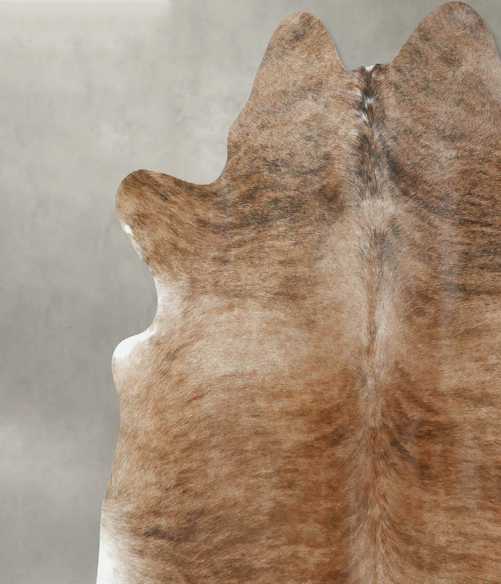 Medium Brindle X-Large Brazilian Cowhide Rug 7'1"H x 6'11"W #B17972 by Hudson Hides