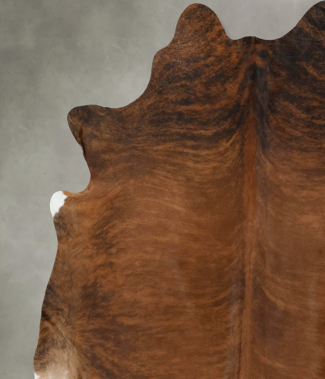 Medium Brindle XX-Large Brazilian Cowhide Rug 7'5"H x 7'0"W #B18002 by