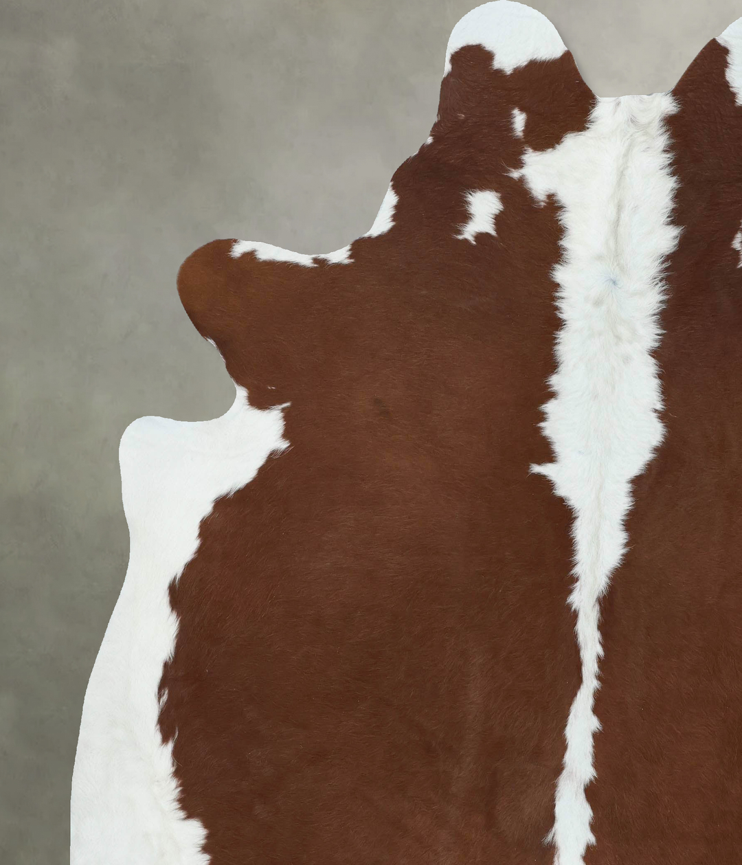 Hereford XX-Large Brazilian Cowhide Rug 7'11"H x 7'0"W #B18004 by Huds