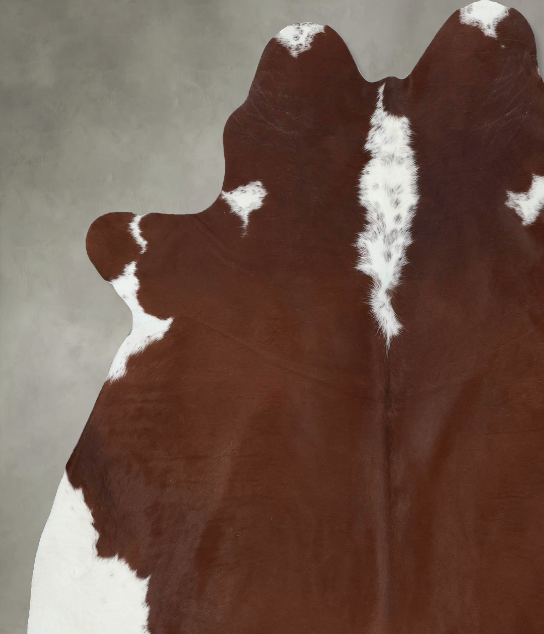 Hereford X-Large Brazilian Cowhide Rug 7'6"H x 6'6"W #B18007 by Hudson