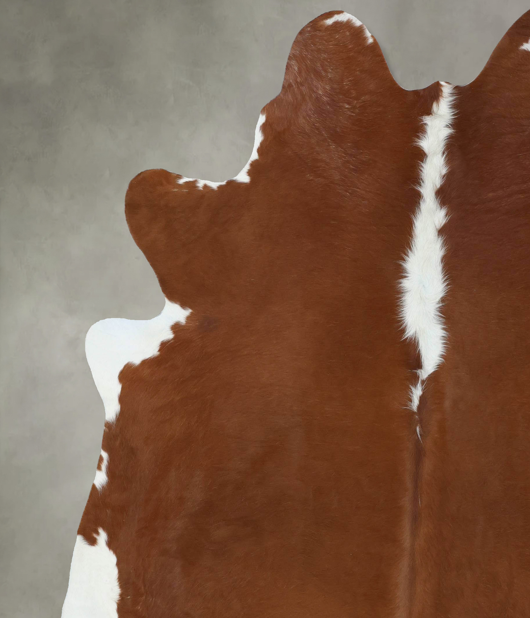 Hereford XX-Large Brazilian Cowhide Rug 8'0"H x 7'2"W #B18008 by Hudso