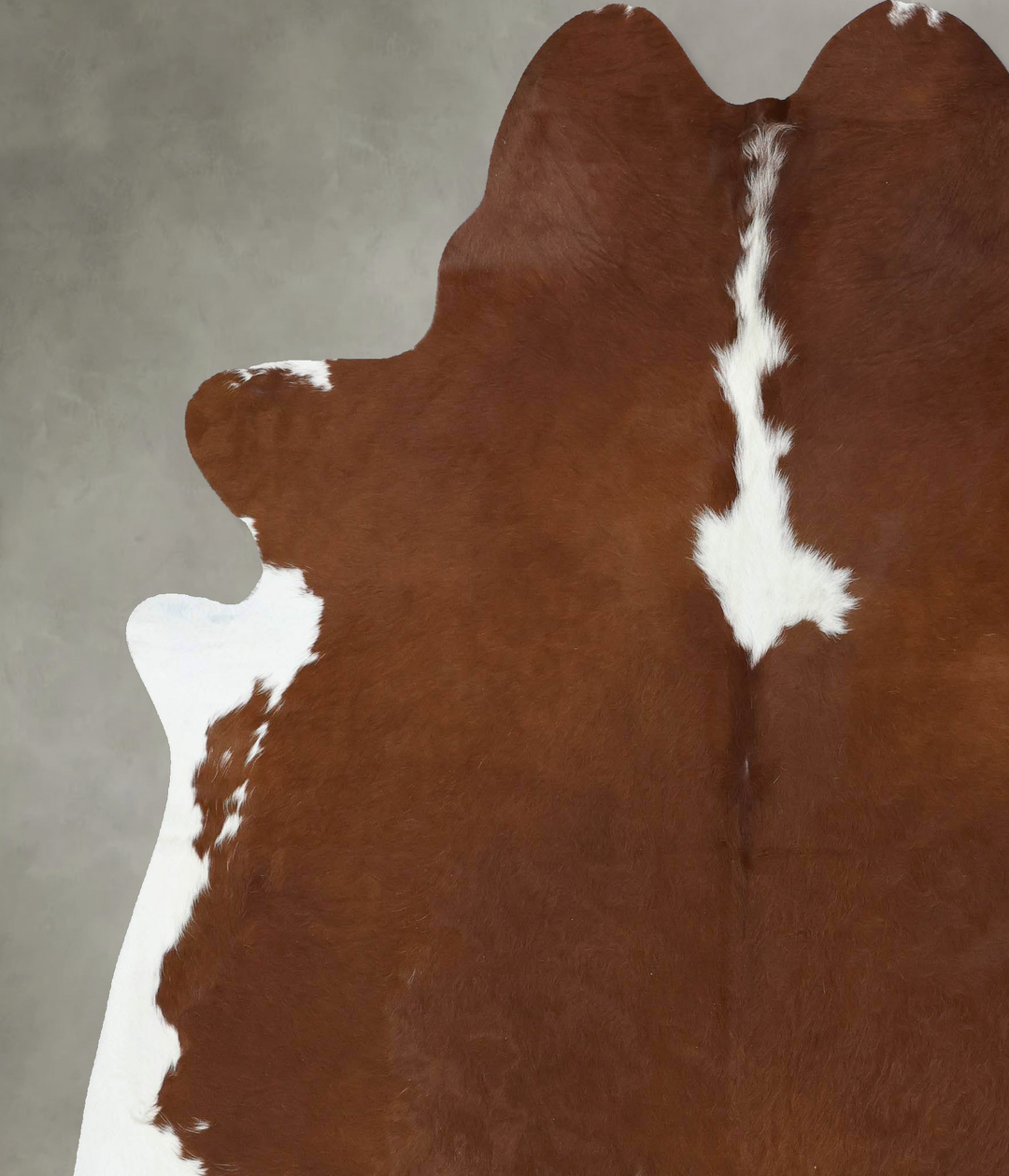 Brown and White Regular XX-Large Brazilian Cowhide Rug 7'9"H x 6'10"W 