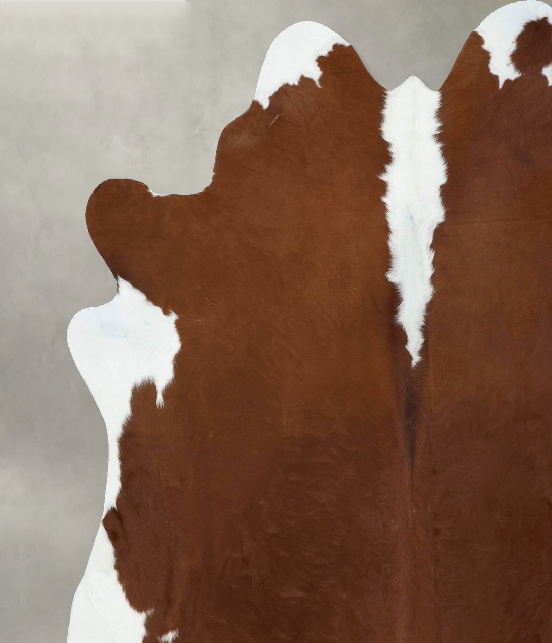 Hereford XX-Large Brazilian Cowhide Rug 7'10"H x 7'3"W #B18010 by Huds