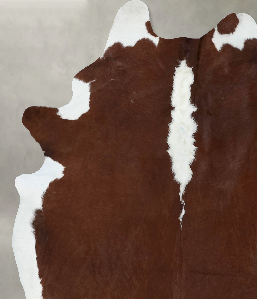 Hereford XX-Large Brazilian Cowhide Rug 9'4"H x 7'2"W #B18023 by Hudso