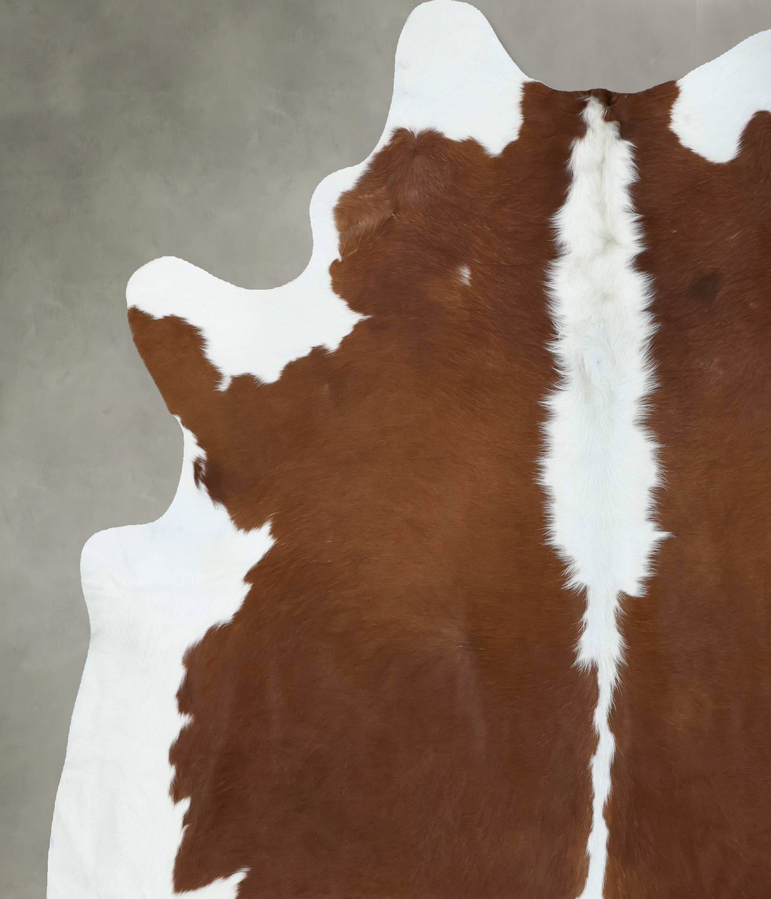 Brown and White Regular XX-Large Brazilian Cowhide Rug 8'0"H x 6'11"W 