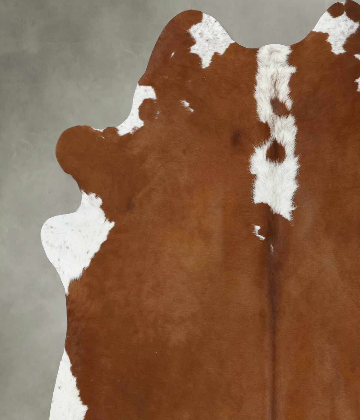 Hereford XX-Large Brazilian Cowhide Rug 7'8"H x 6'9"W #B18040 by Hudson Hides