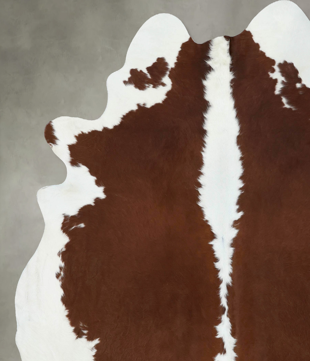 Brown and White Regular XX-Large Brazilian Cowhide Rug 8'4"H x 7'1"W #