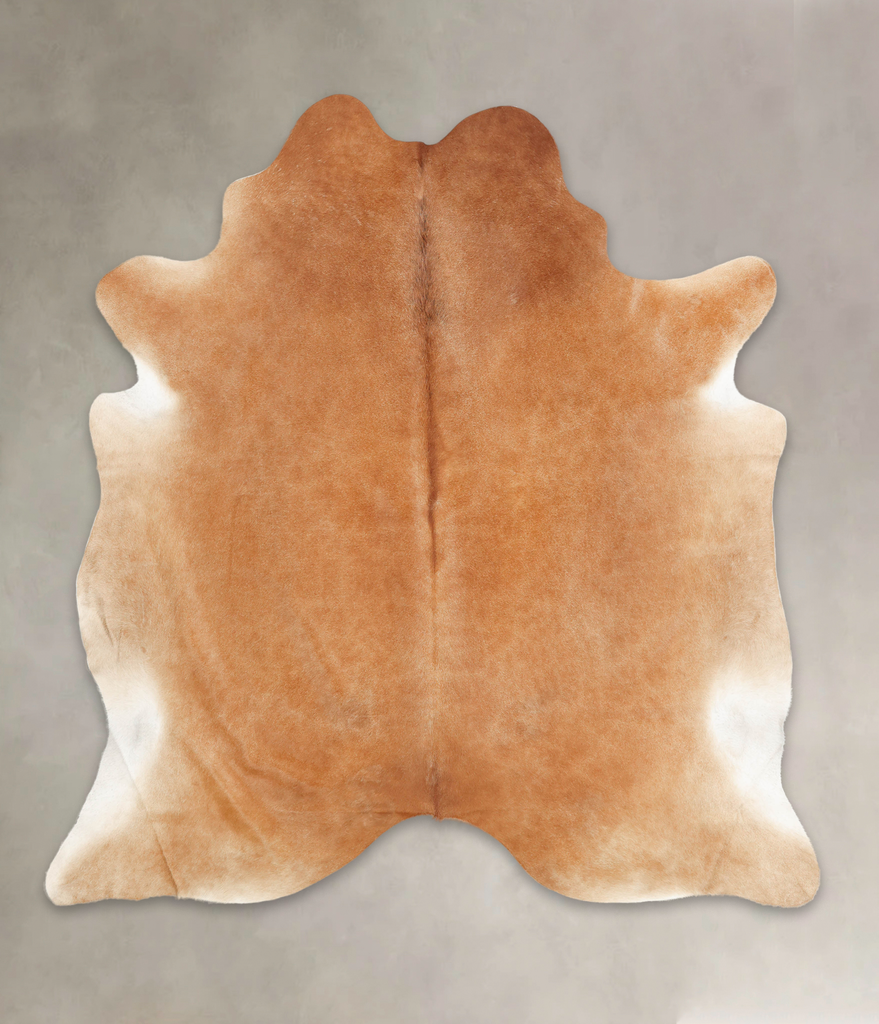 Solid Brown XX-Large Brazilian Cowhide Rug 7'9"H x 7'3"W #B1805 by Hudson Hides