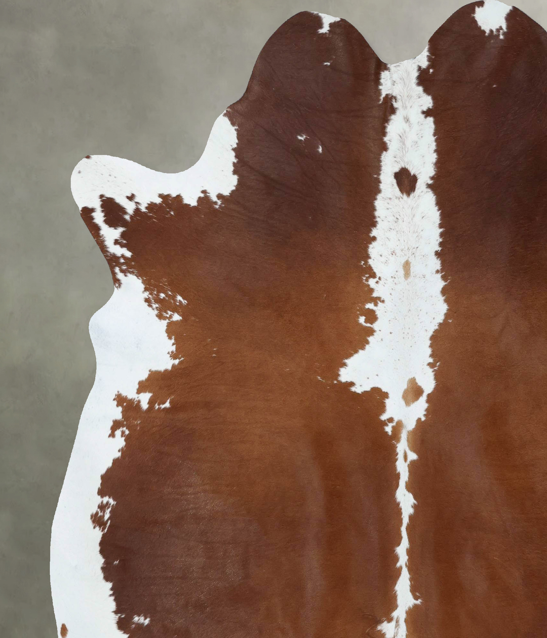 Brown and White Regular XX-Large Brazilian Cowhide Rug 8'0"H x 6'8"W #