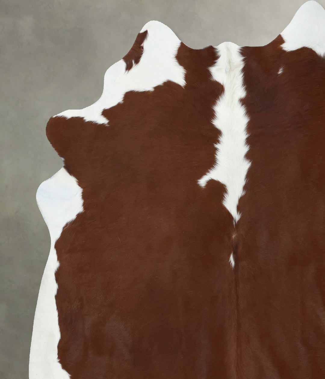 Hereford XX-Large Brazilian Cowhide Rug 7'6"H x 7'0"W #B18068 by Hudso