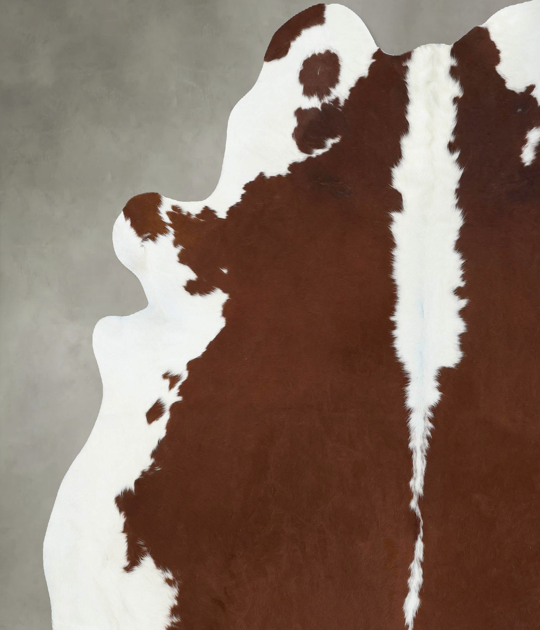 Brown and White Regular XX-Large Brazilian Cowhide Rug 8'1"H x 6'10"W 