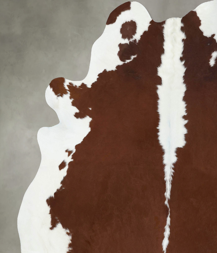 Brown and White Regular XX-Large Brazilian Cowhide Rug 8'1"H x 6'10"W #B18072 by Hudson Hides
