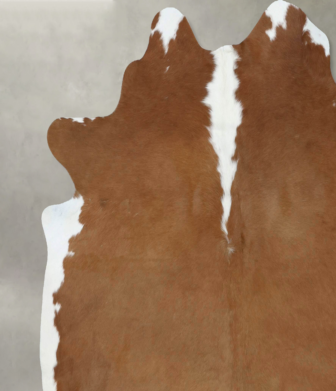 Hereford X-Large Brazilian Cowhide Rug 7'2"H x 6'11"W #B18073 by Hudso
