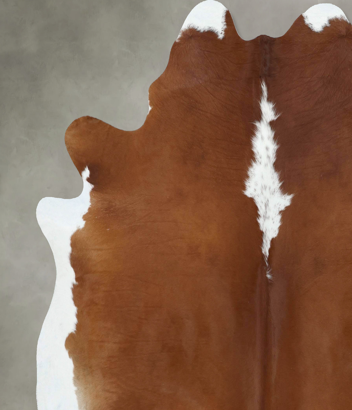 Hereford XX-Large Brazilian Cowhide Rug 7'11"H x 7'1"W #B18076 by Hudson Hides