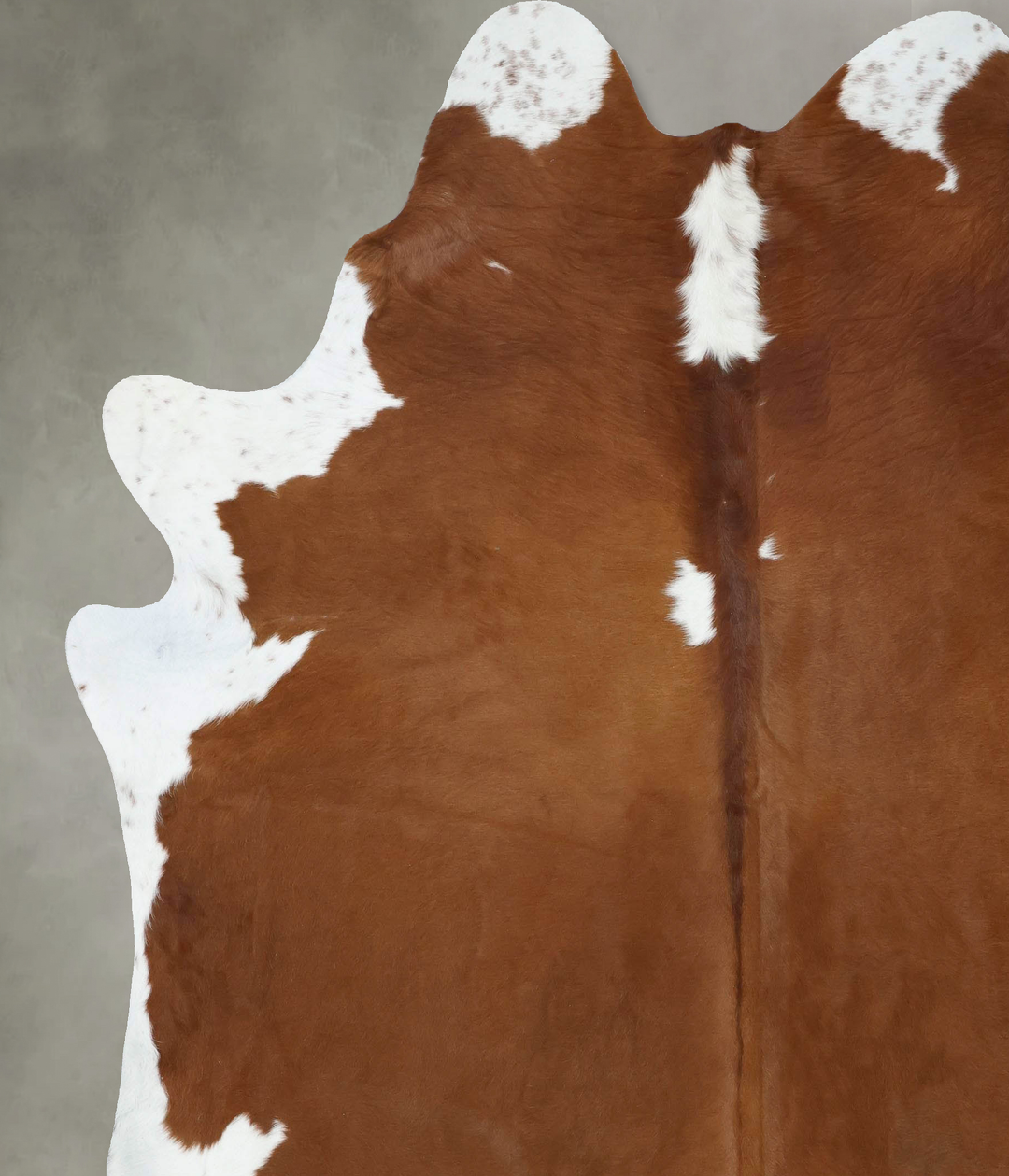Brown and White Regular XX-Large Brazilian Cowhide Rug 8'4"H x 7'2"W #