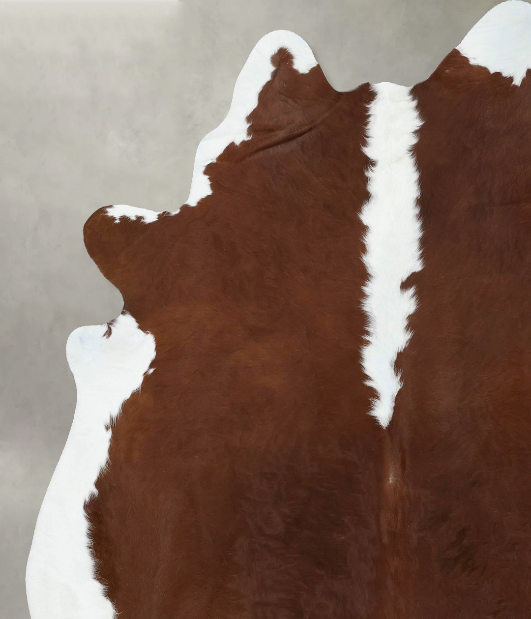 Hereford XX-Large Brazilian Cowhide Rug 7'7"H x 6'9"W #B18078 by Hudso