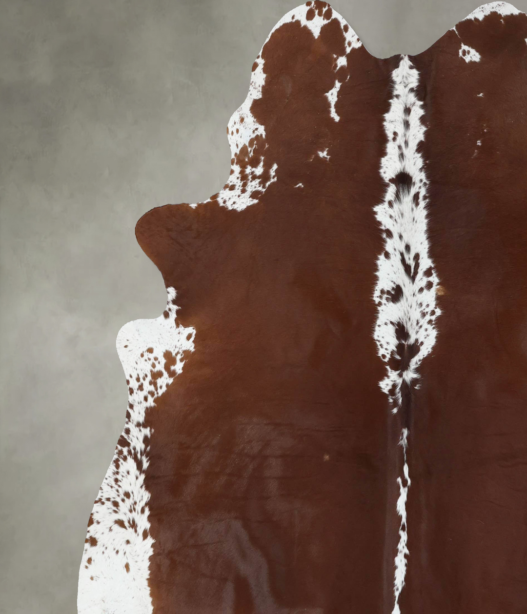 Brown and White Regular XX-Large Brazilian Cowhide Rug 8'0"H x 7'5"W #