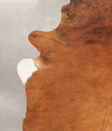 Medium Brindle X-Large Brazilian Cowhide Rug 7'5"H x 6'5"W #B1809 by Hudson Hides