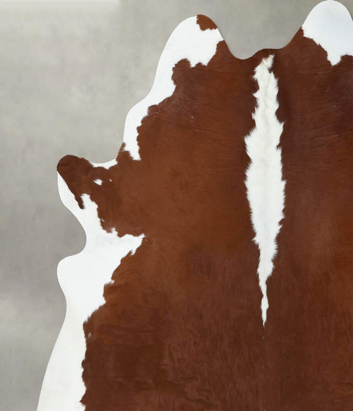 Hereford XX-Large Brazilian Cowhide Rug 7'10"H x 7'1"W #B18091 by Hudson Hides