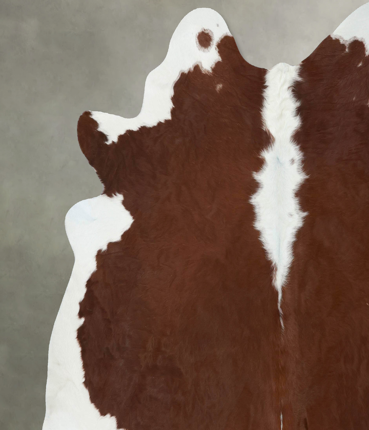Hereford XX-Large Brazilian Cowhide Rug 7'4"H x 7'5"W #B18095 by Hudson Hides