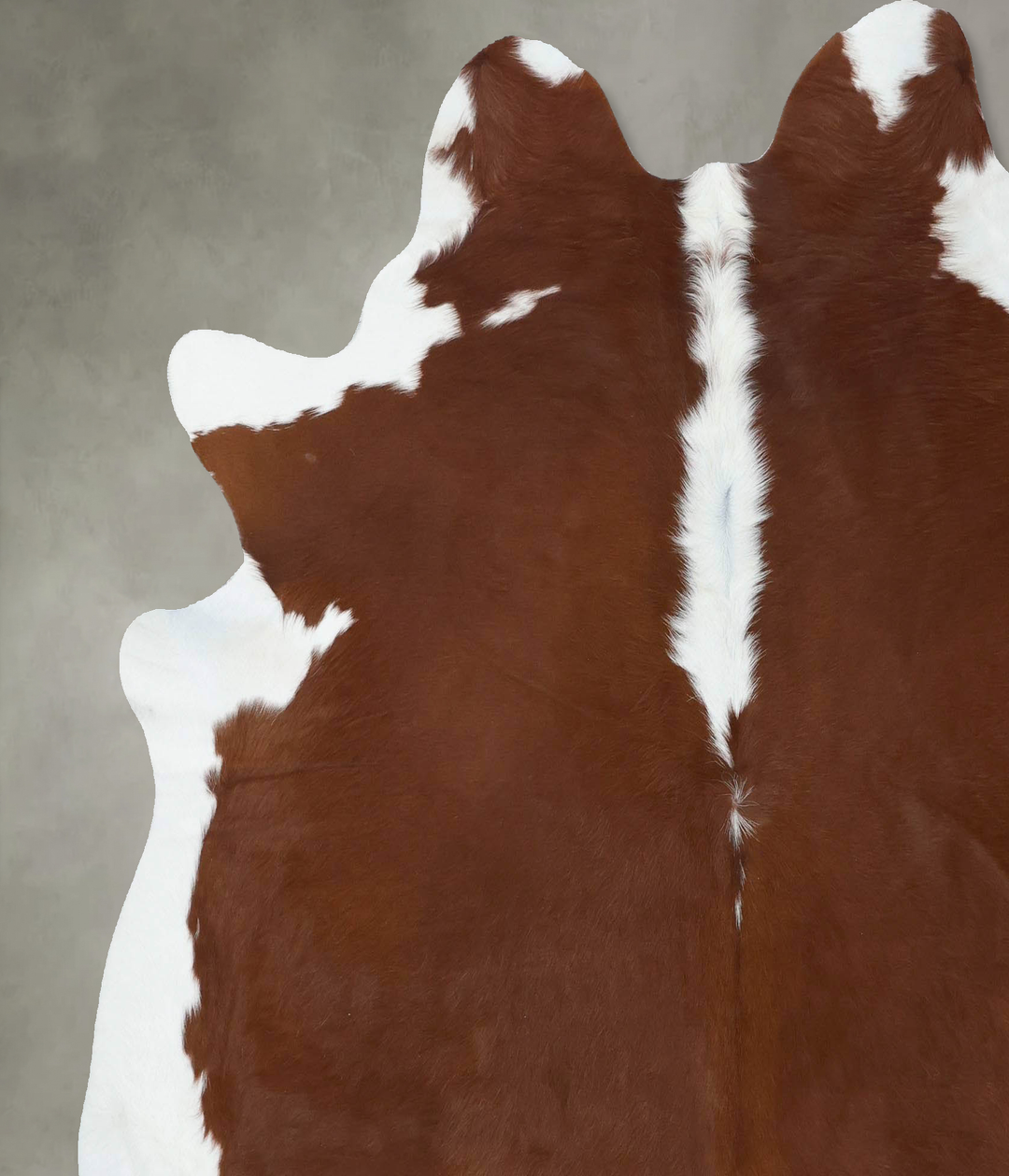 Hereford X-Large Brazilian Cowhide Rug 6'10"H x 6'7"W #B18102 by Hudso
