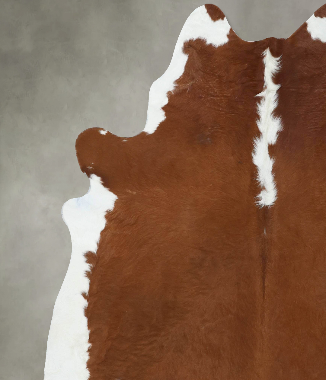 Hereford XX-Large Brazilian Cowhide Rug 7'9"H x 6'9"W #B18124 by Hudso