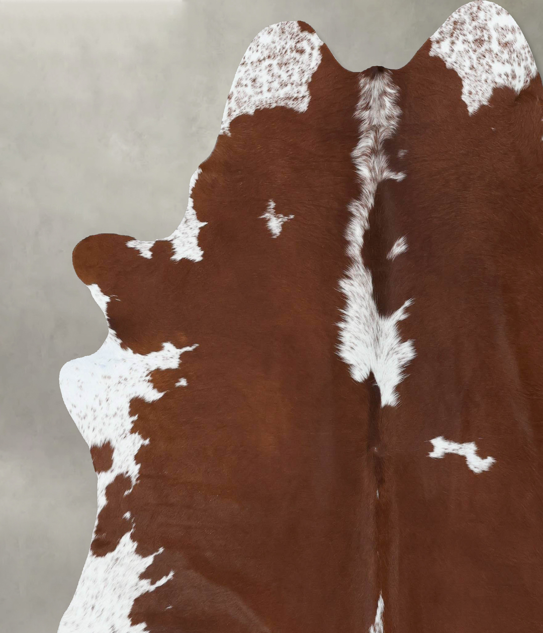 Brown and White Regular XX-Large Brazilian Cowhide Rug 7'7"H x 6'11"W 