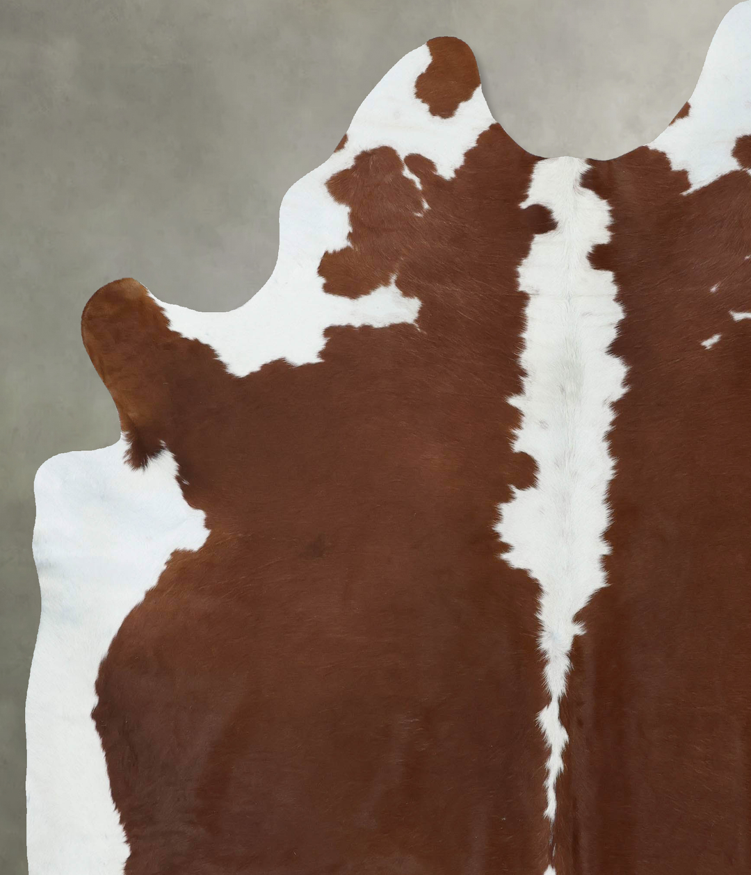 Hereford XX-Large Brazilian Cowhide Rug 8'2"H x 6'9"W #B18136 by Hudso