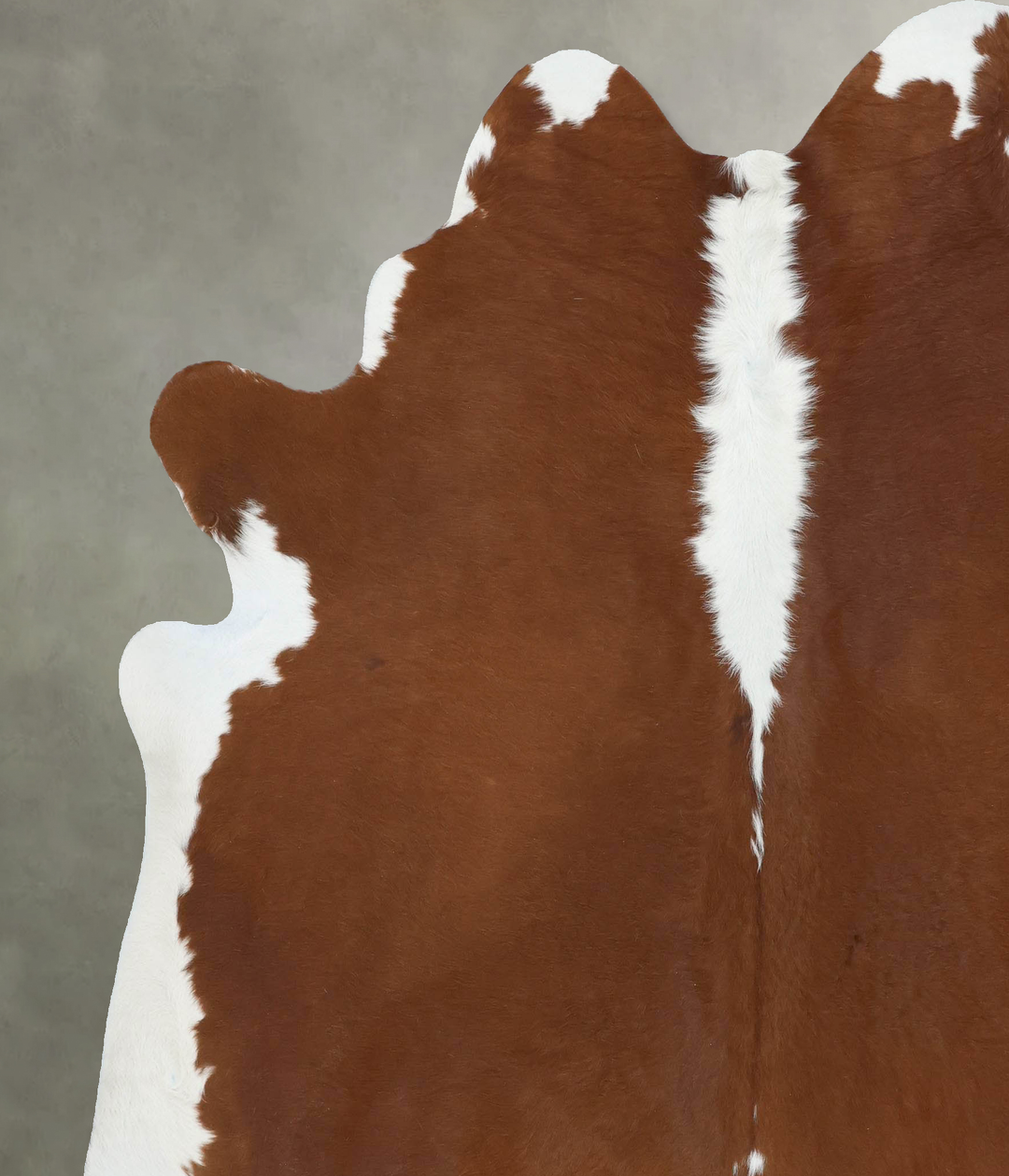 Hereford XX-Large Brazilian Cowhide Rug 7'11"H x 6'11"W #B18139 by Hud