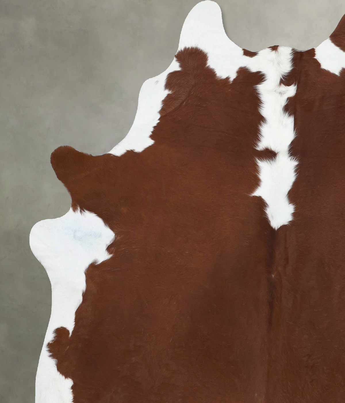 Hereford XX-Large Brazilian Cowhide Rug 7'8"H x 6'7"W #B18143 by Hudson Hides