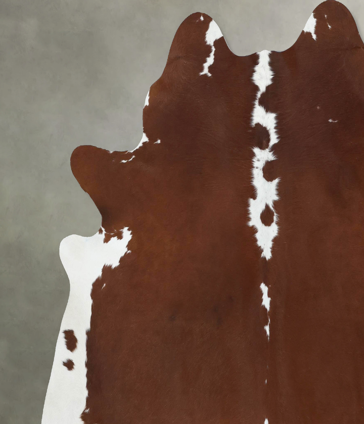 Brown and White Regular XX-Large Brazilian Cowhide Rug 7'6"H x 6'11"W #B18145 by Hudson Hides