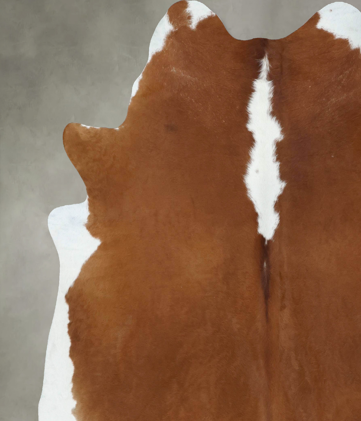 Hereford XX-Large Brazilian Cowhide Rug 8'0"H x 7'0"W #B18146 by Hudson Hides