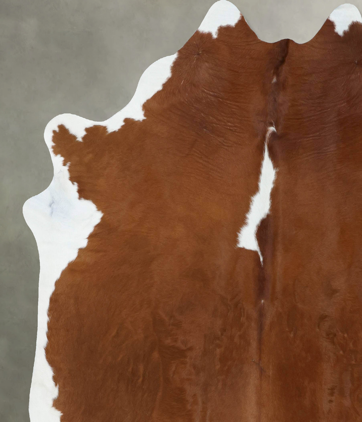 Brown and White Regular XX-Large Brazilian Cowhide Rug 8'4"H x 7'1"W #B18149 by Hudson Hides