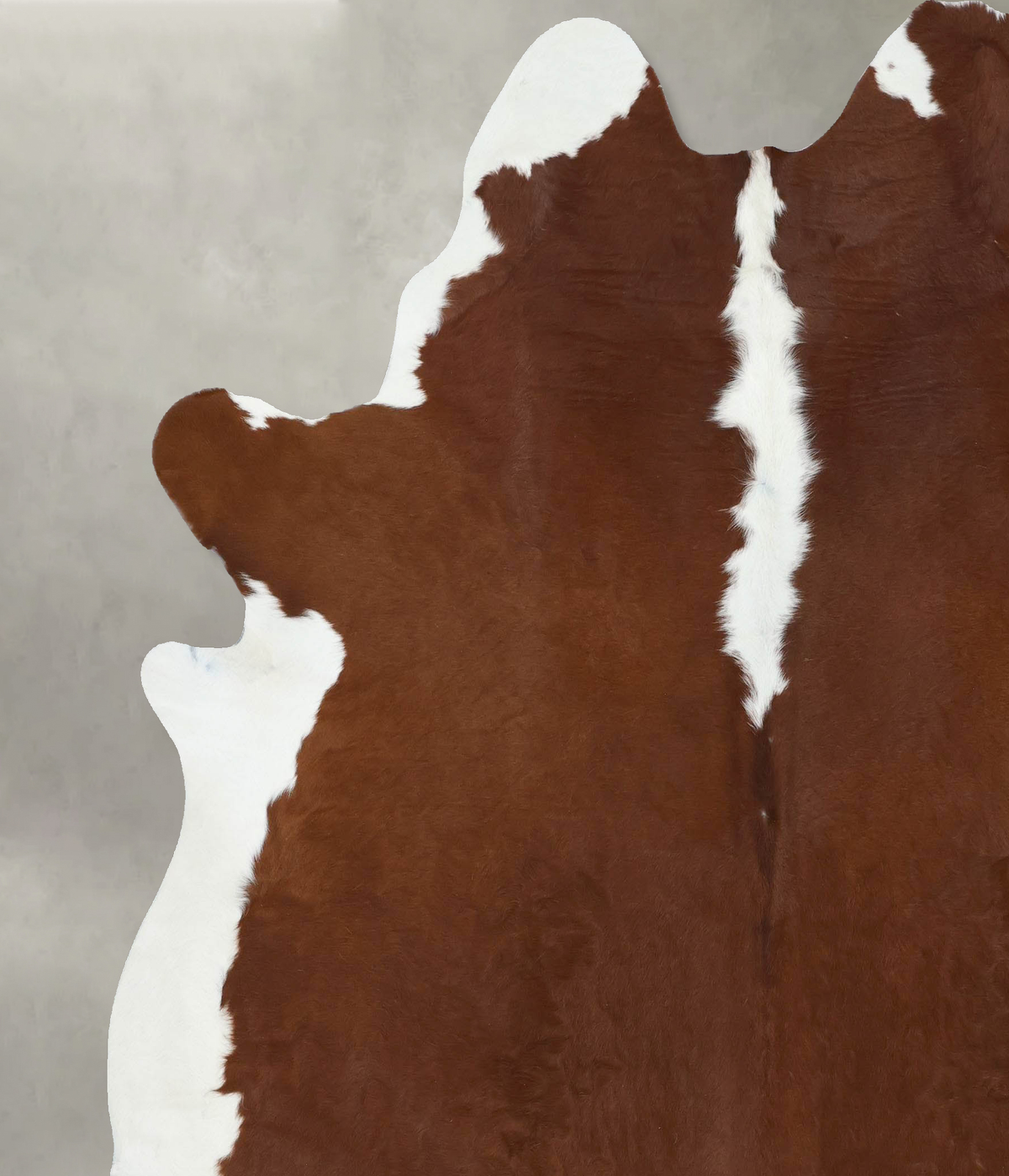 Hereford XX-Large Brazilian Cowhide Rug 8'0"H x 7'1"W #B18150 by Hudson Hides