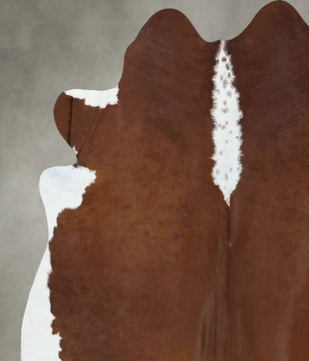Hereford XX-Large Brazilian Cowhide Rug 7'7"H x 7'5"W #B18152 by Hudso