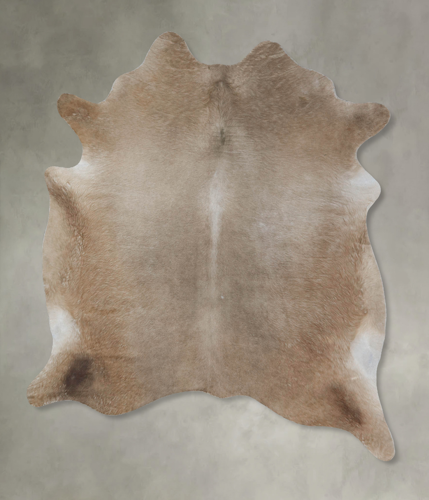 Champagne XX-Large Brazilian Cowhide Rug 8'0"H x 6'8"W #B18159 by Hudson Hides