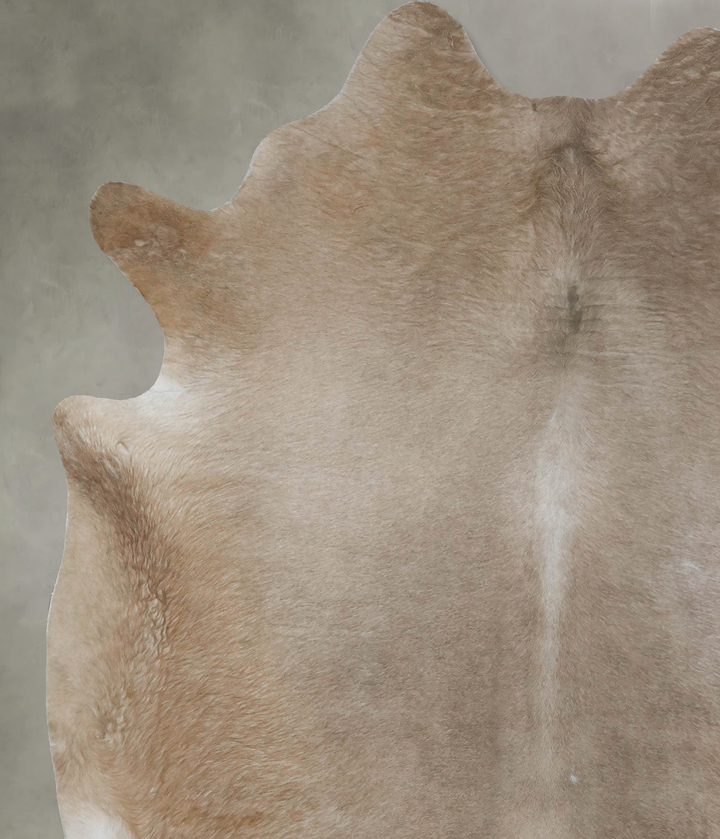 Champagne XX-Large Brazilian Cowhide Rug 8'0"H x 6'8"W #B18159 by Hudson Hides
