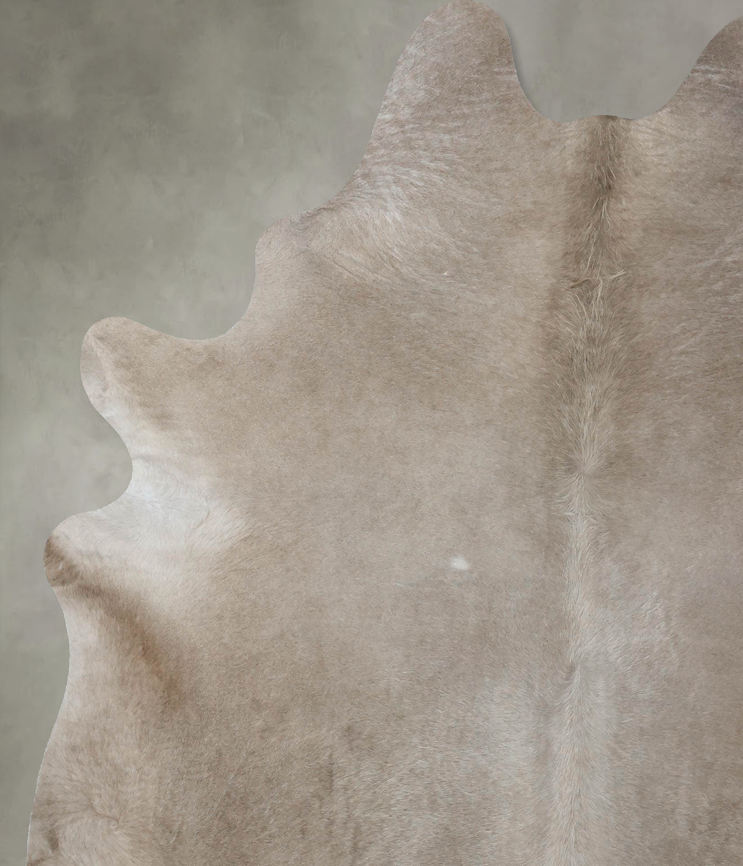 Champagne XX-Large Brazilian Cowhide Rug 8'6"H x 6'6"W #B18166 by Huds