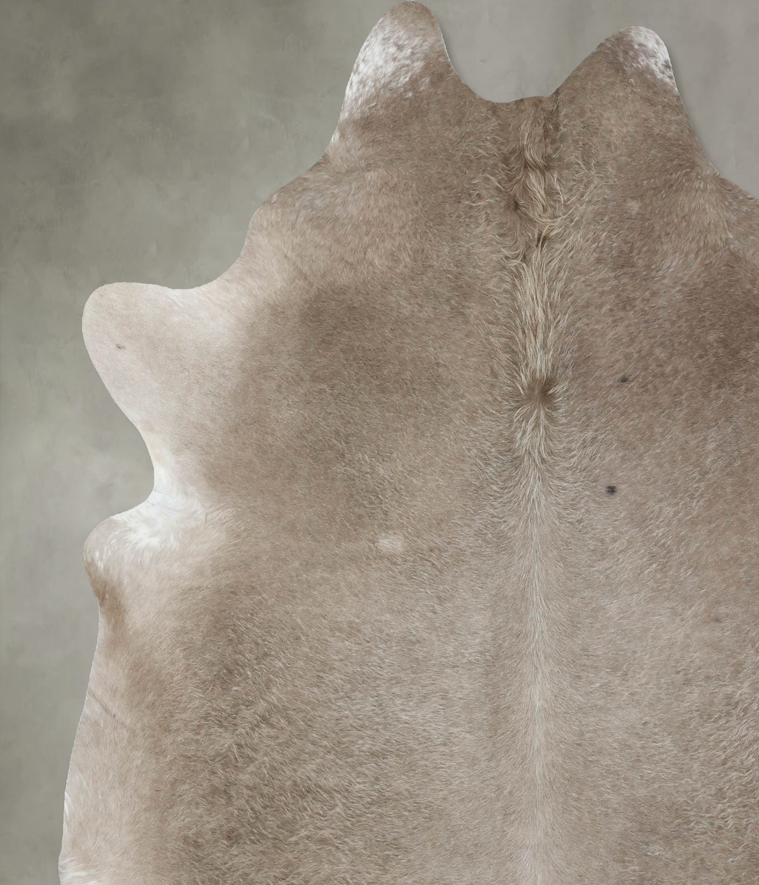 Champagne XX-Large Brazilian Cowhide Rug 8'7"H x 7'4"W #B18171 by Huds